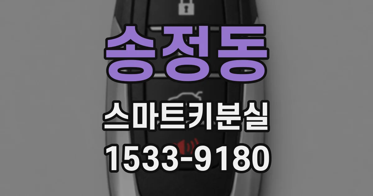송정동 스마트키분실