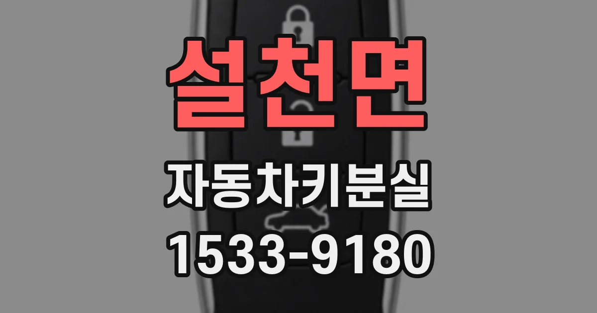 설천면 자동차키분실