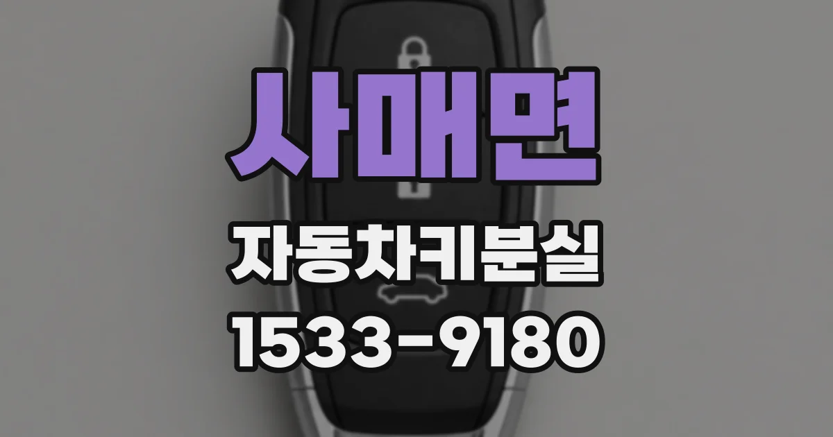 사매면 자동차키분실