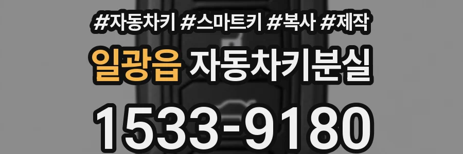 일광읍 자동차키분실