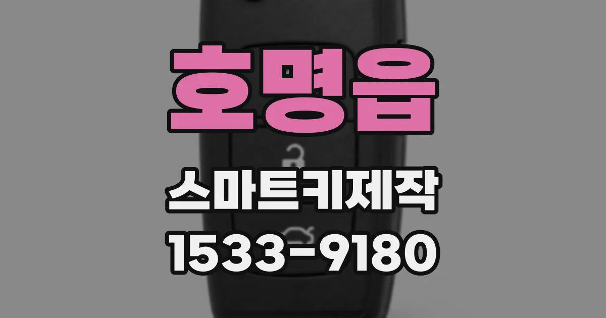 호명읍 스마트키제작