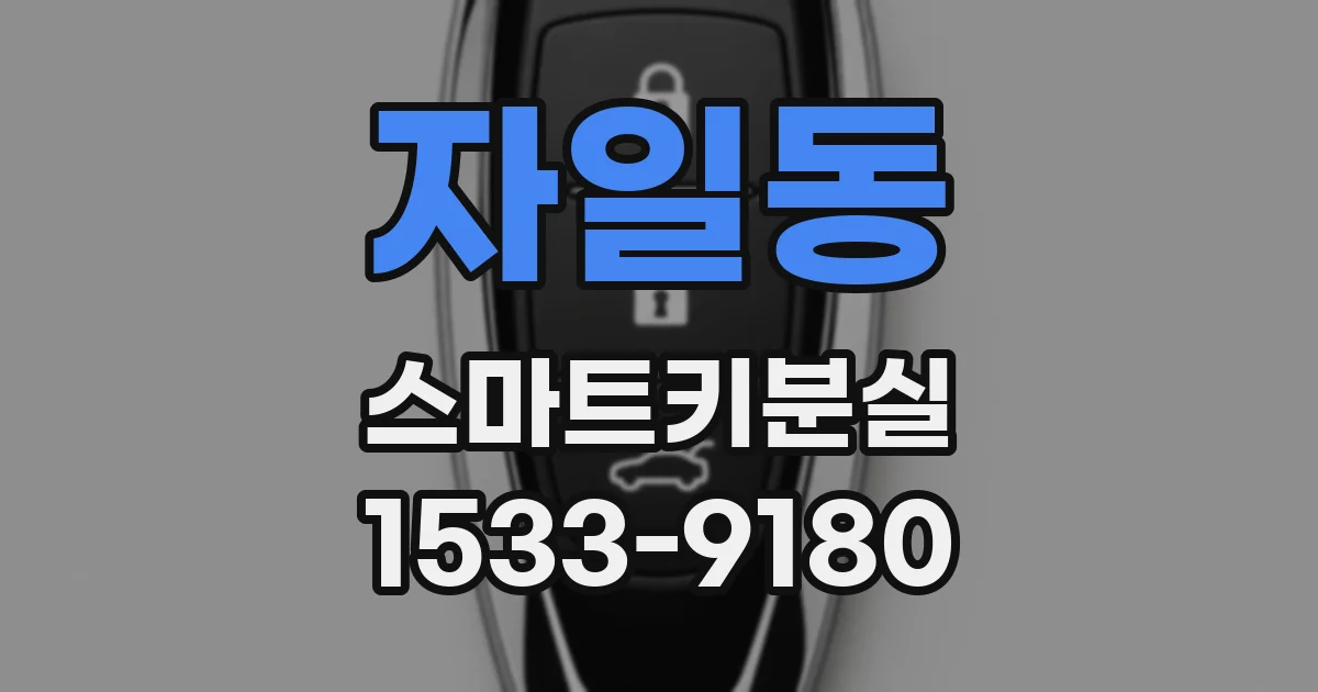 자일동 스마트키분실