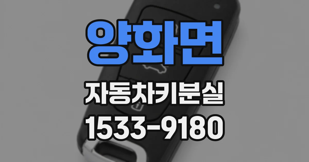 양화면 자동차키분실