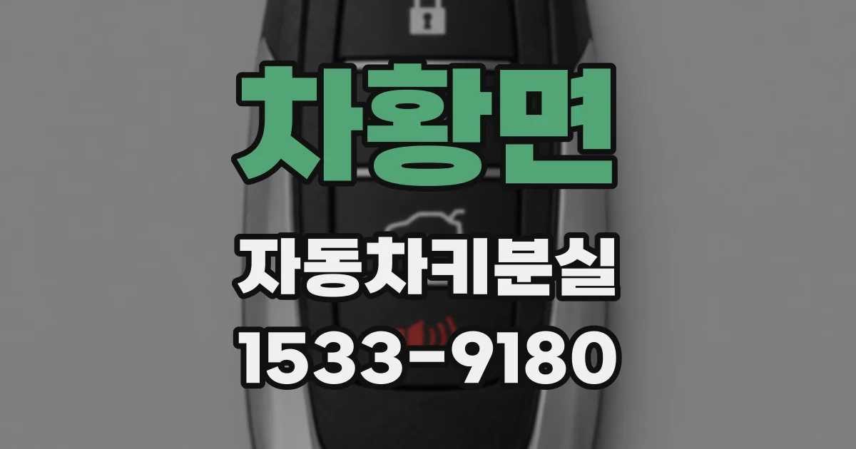 차황면 자동차키분실