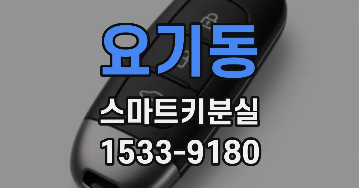 요기동 스마트키분실