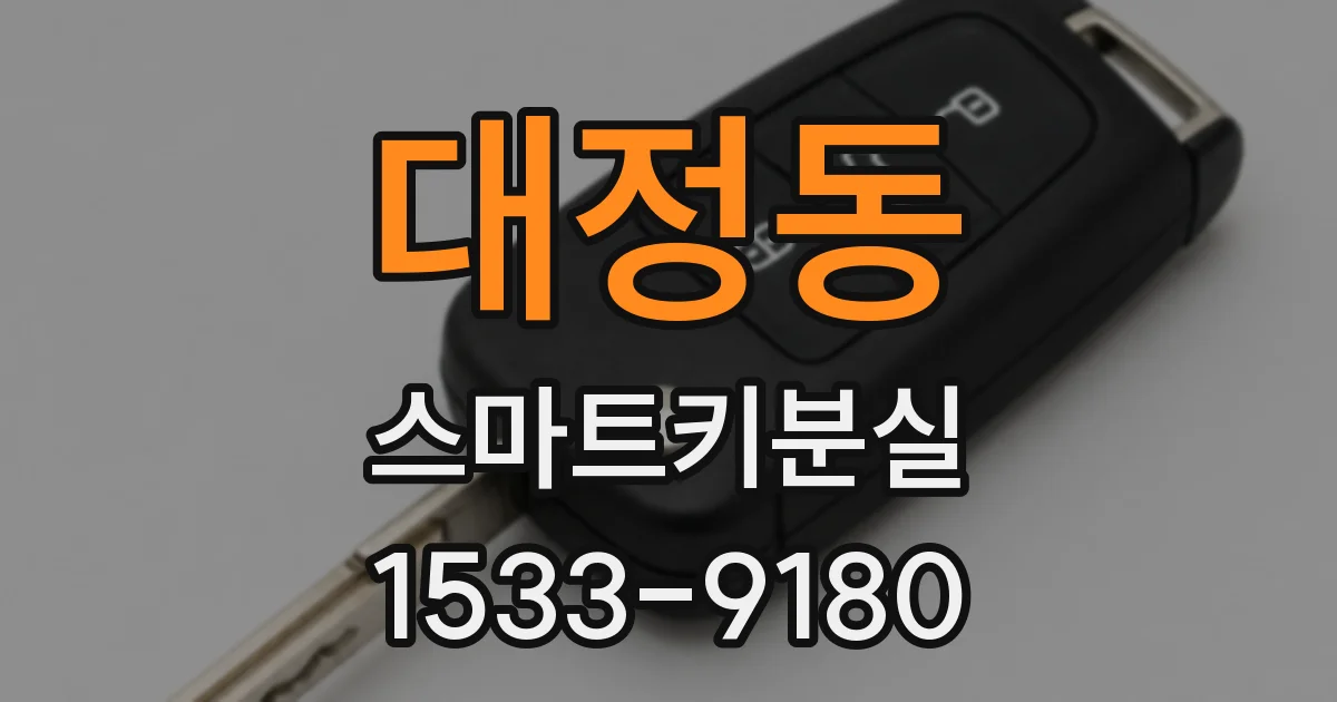 대정동 스마트키분실
