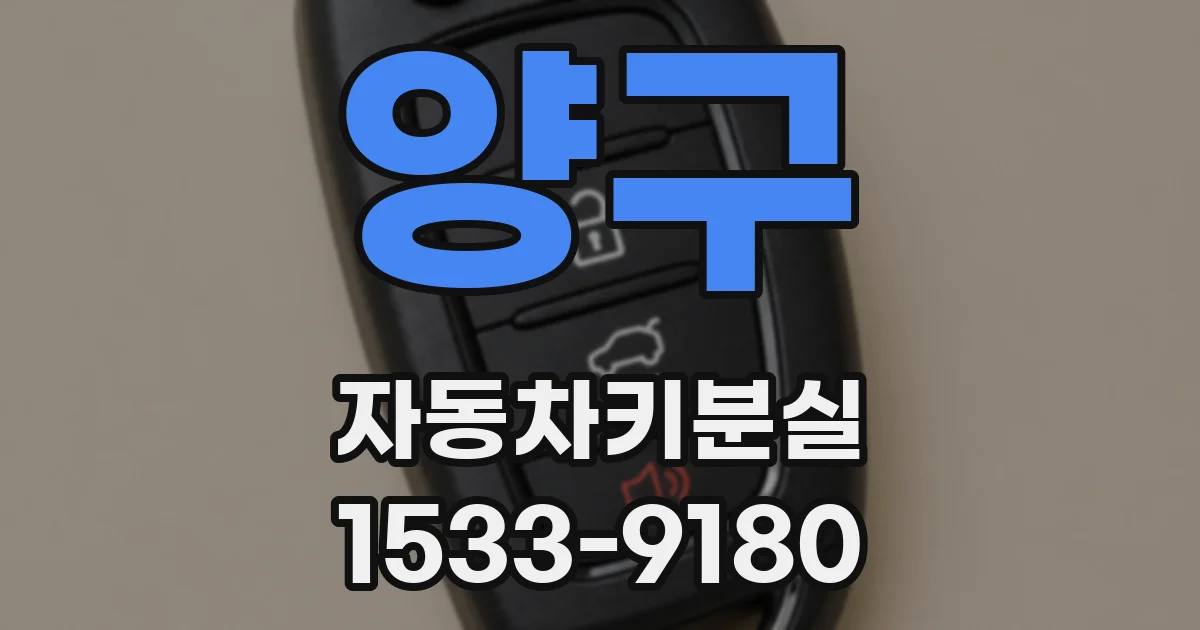 양구 자동차키분실