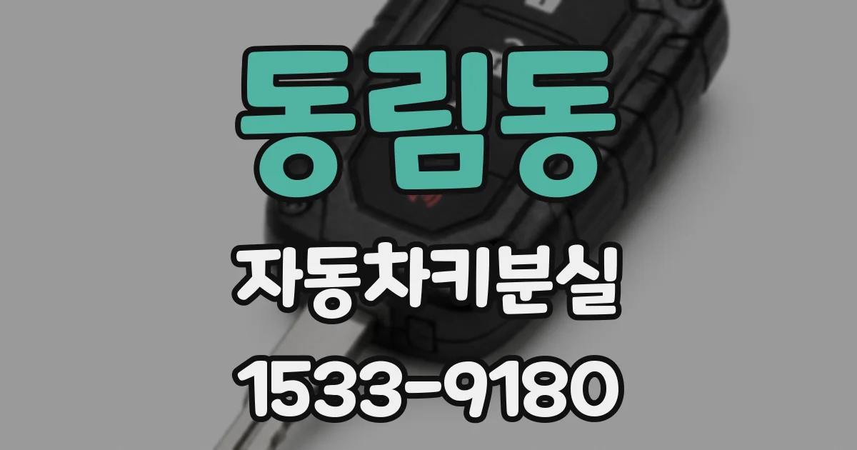 동림동 자동차키분실