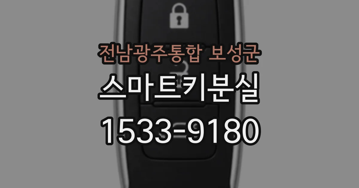 전남광주통합 보성군 스마트키분실