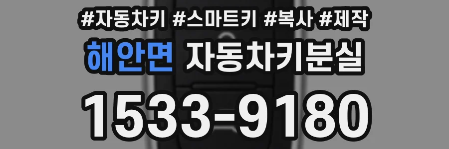 해안면 자동차키분실