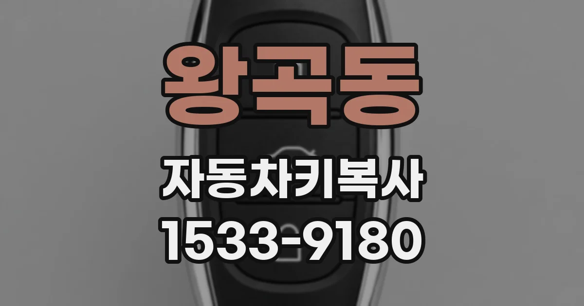 왕곡동 자동차키복사