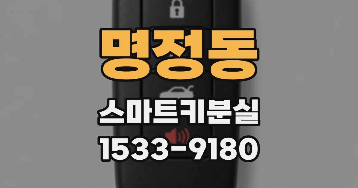 명정동 스마트키분실
