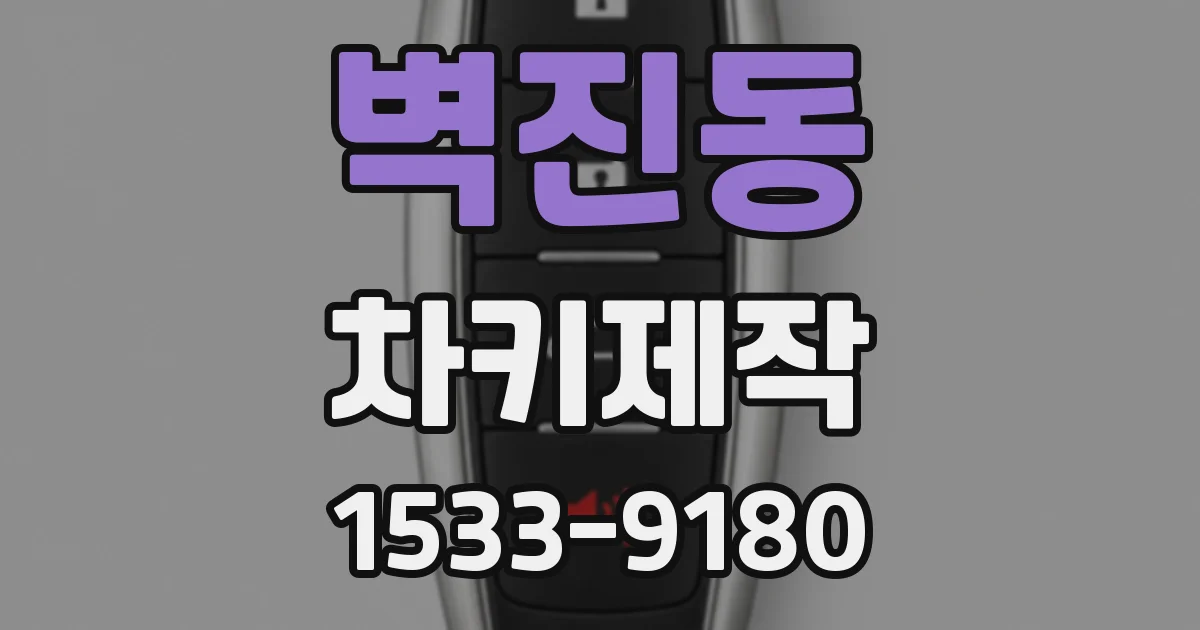 벽진동 차키제작