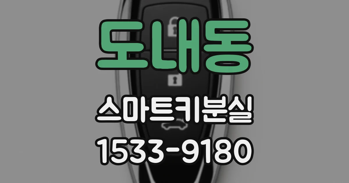도내동 스마트키분실