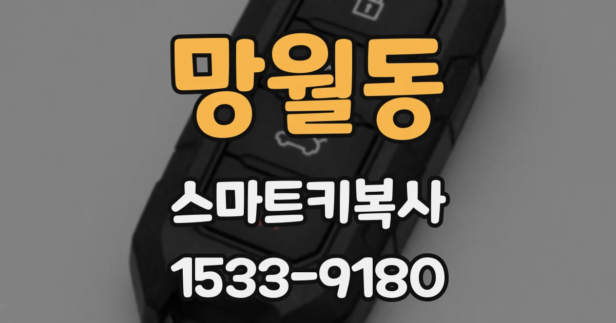 망월동 스마트키복사