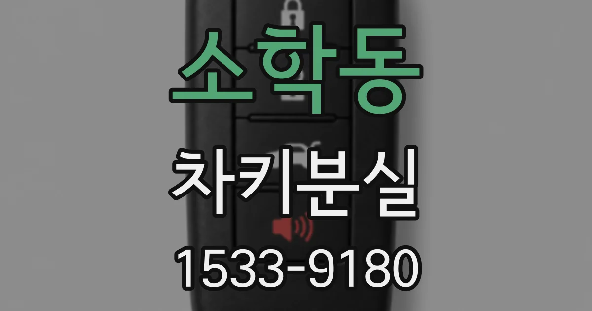 소학동 차키분실