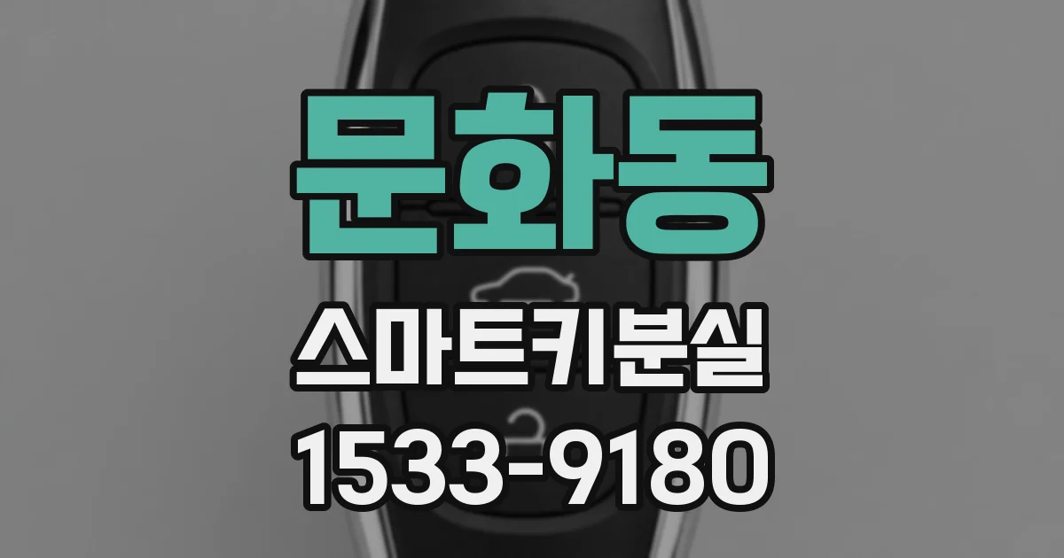 문화동 스마트키분실