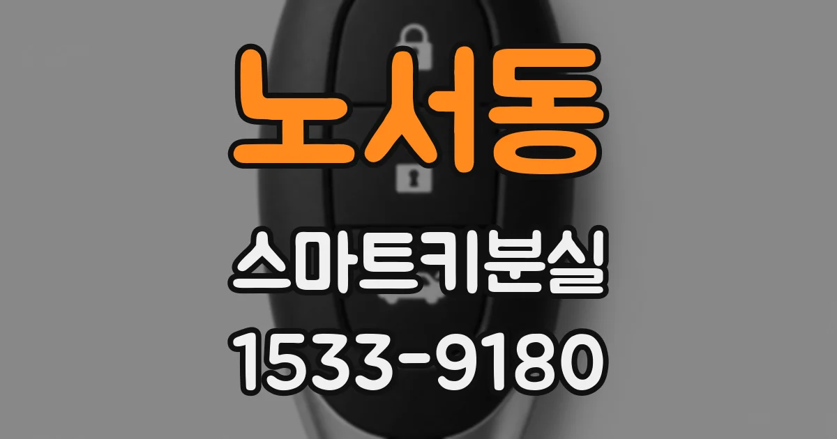노서동 스마트키분실