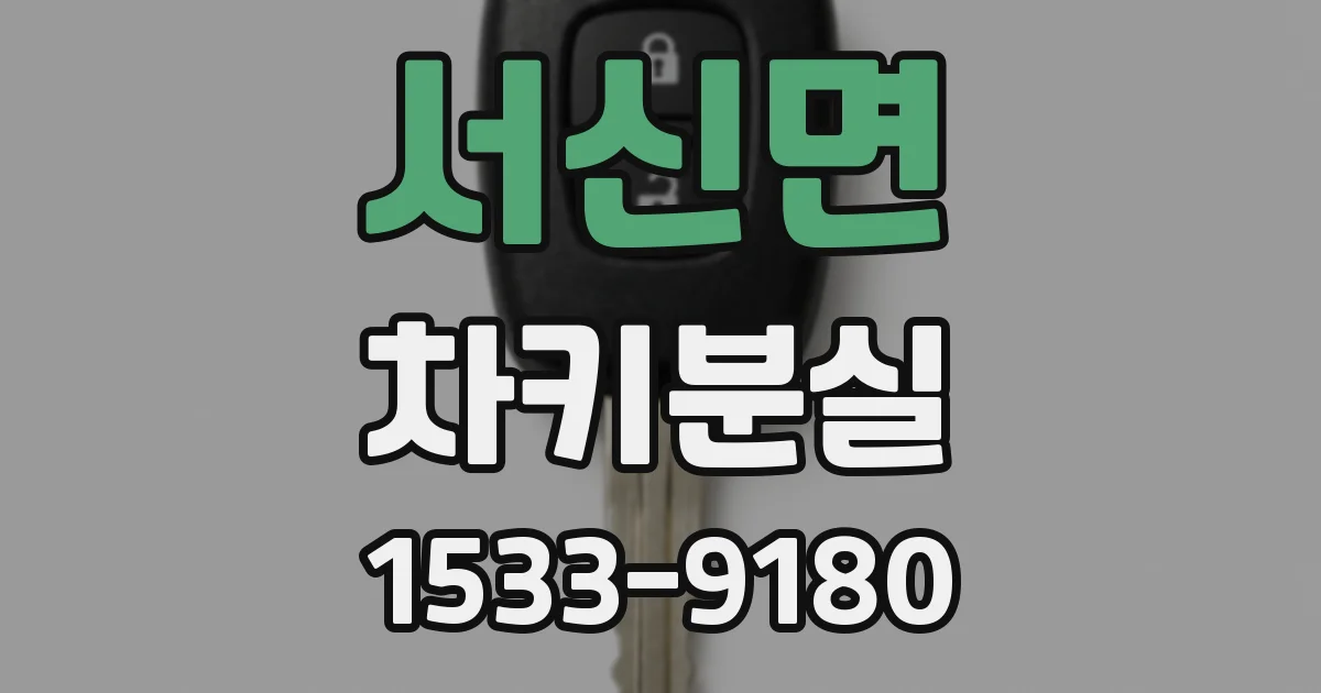 서신면 차키분실