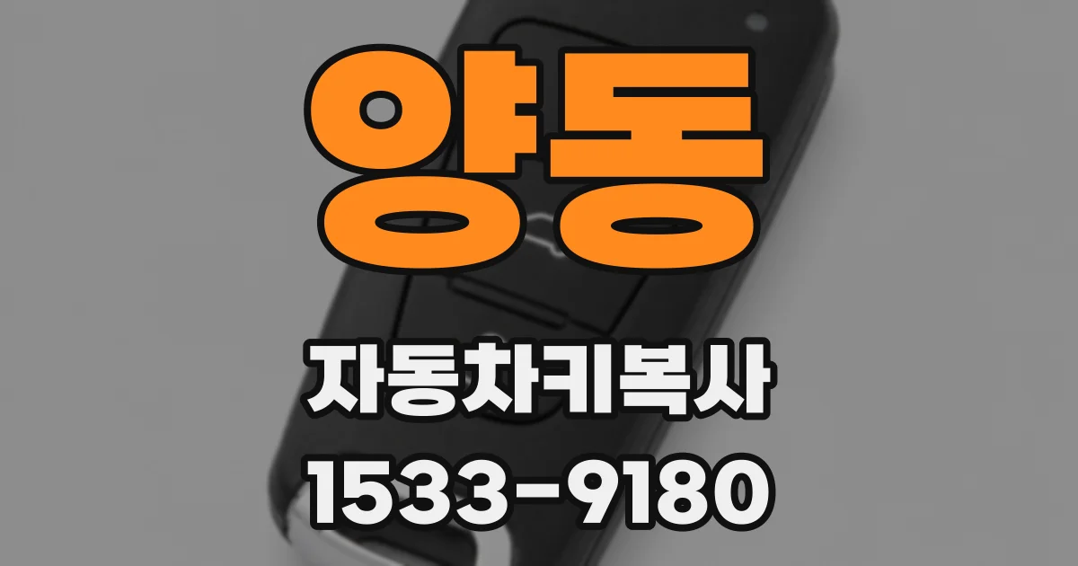 양동 자동차키복사