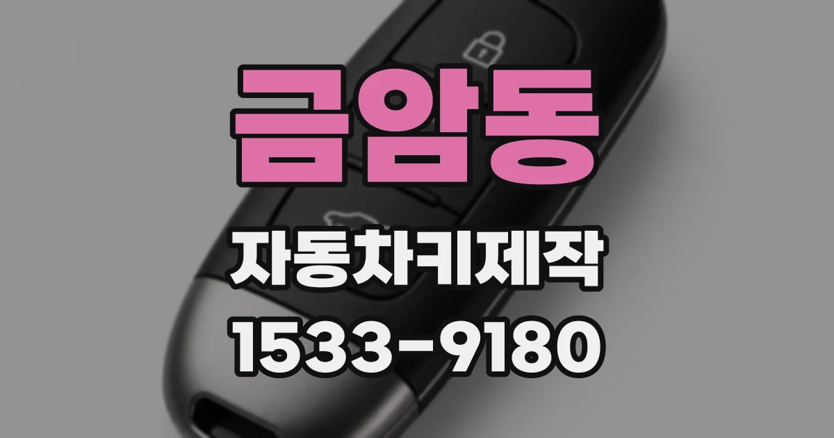 금암동 자동차키제작