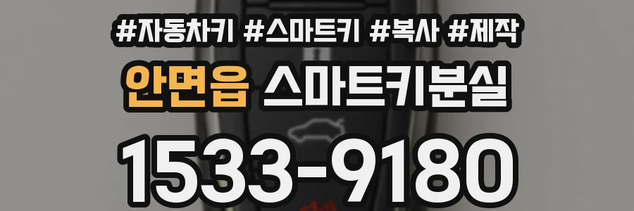 안면읍 스마트키분실