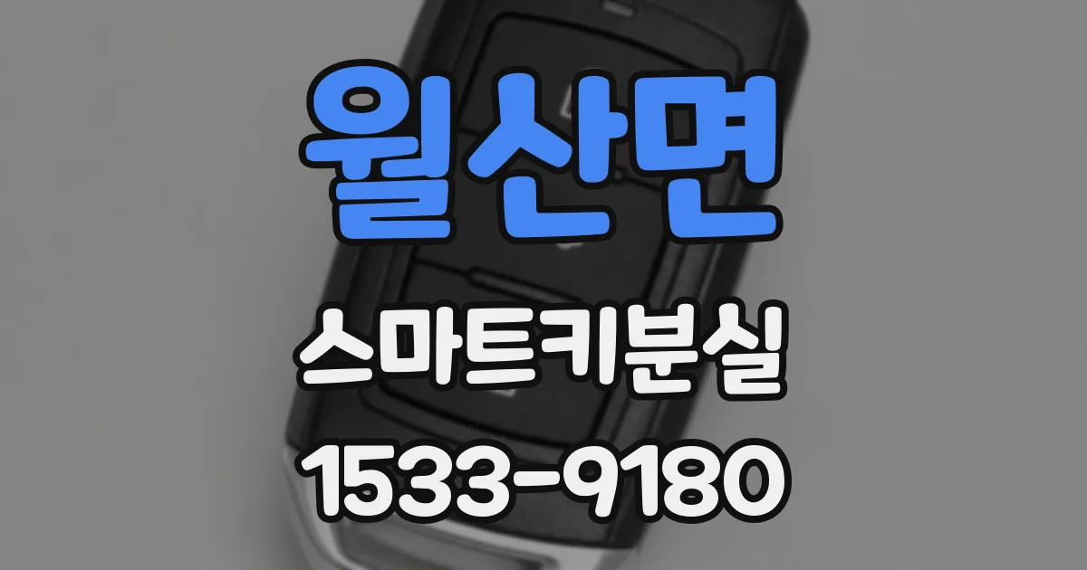 월산면 스마트키분실
