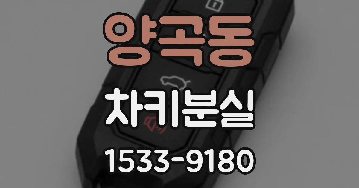 양곡동 차키분실