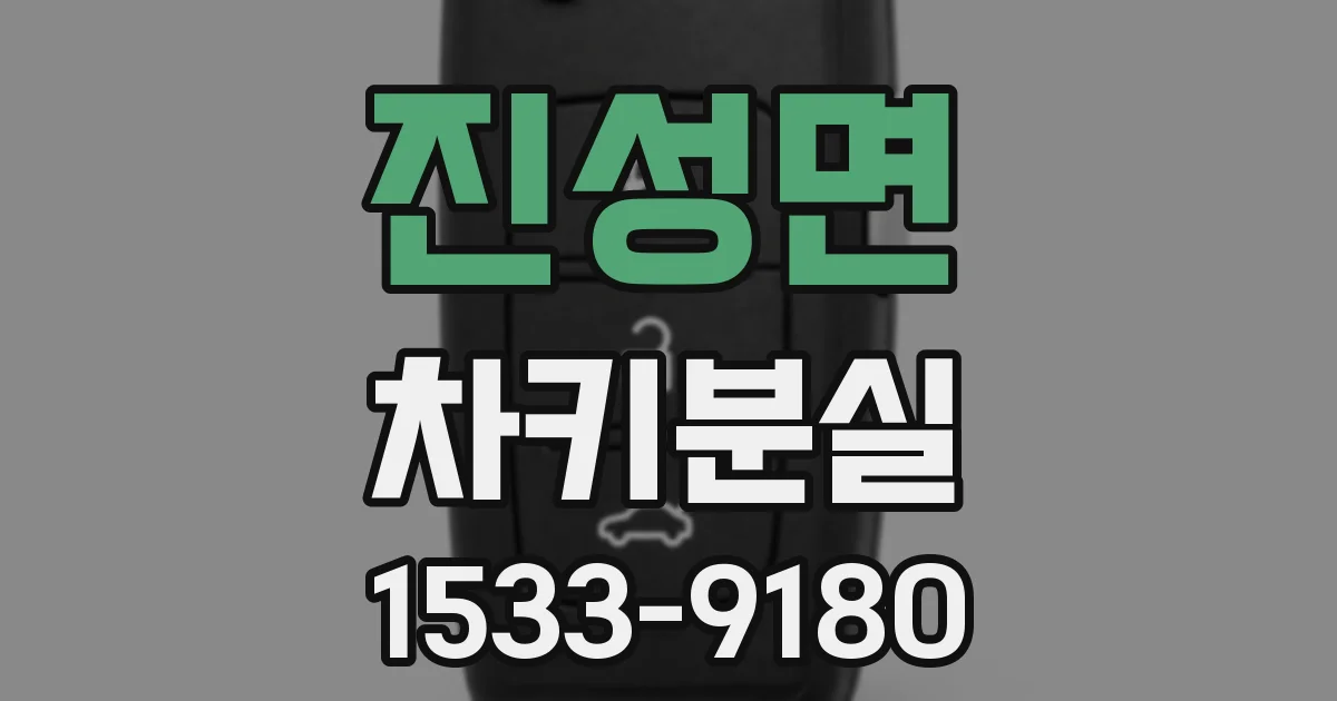 진성면 차키분실