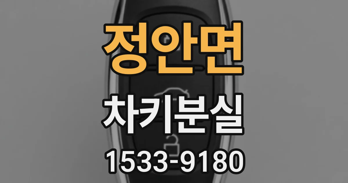 정안면 차키분실