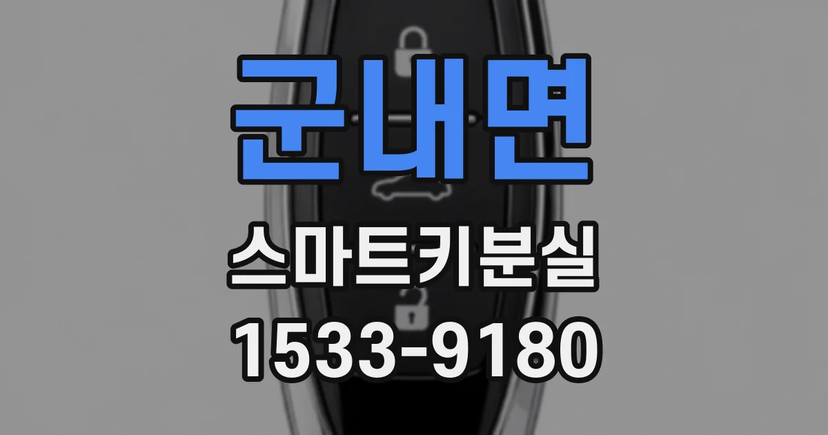 군내면 스마트키분실