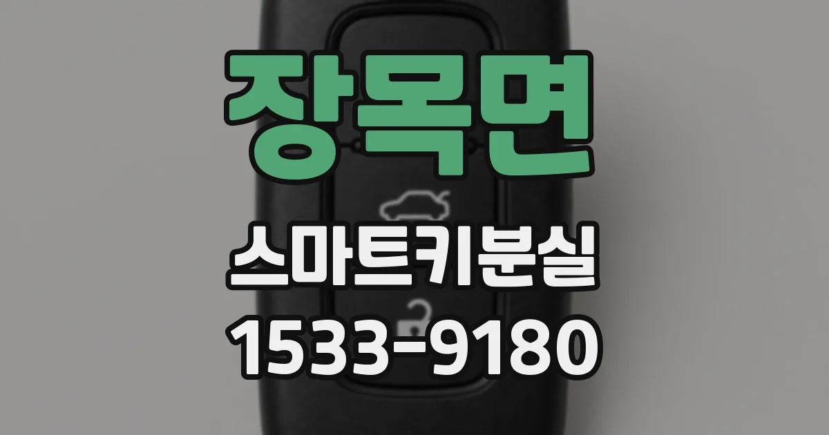 장목면 스마트키분실