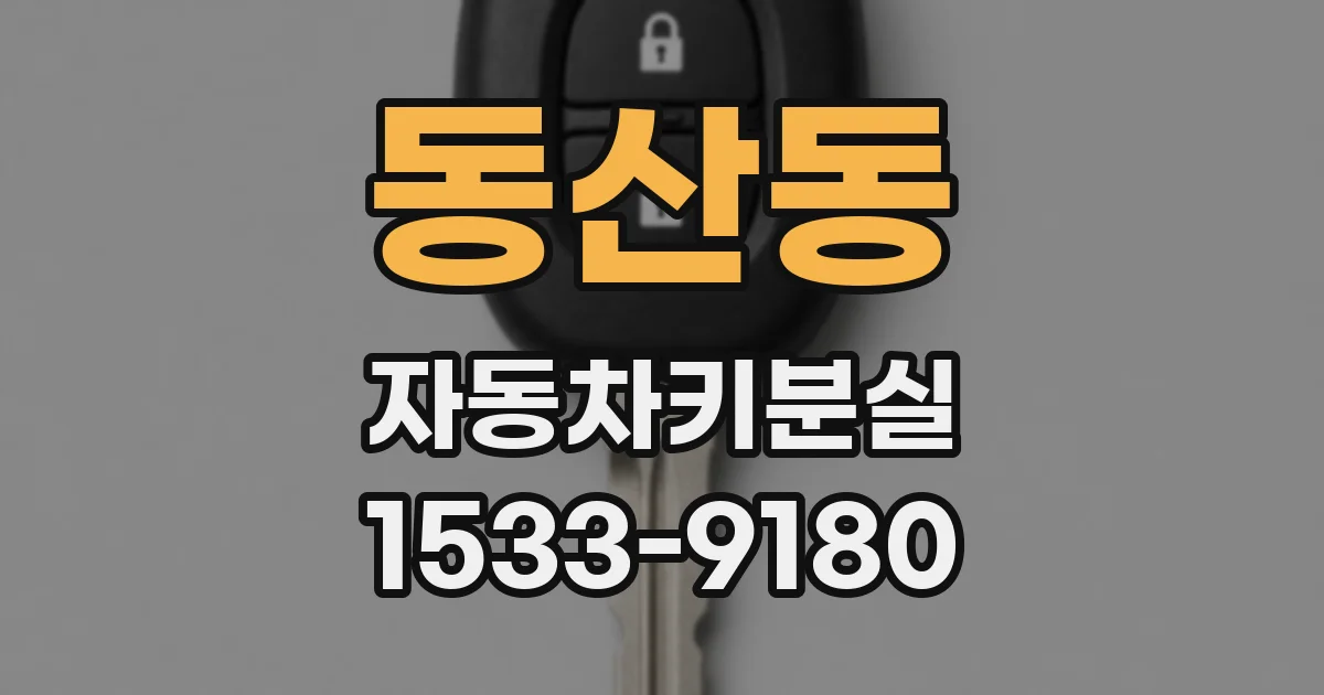 동산동 자동차키분실