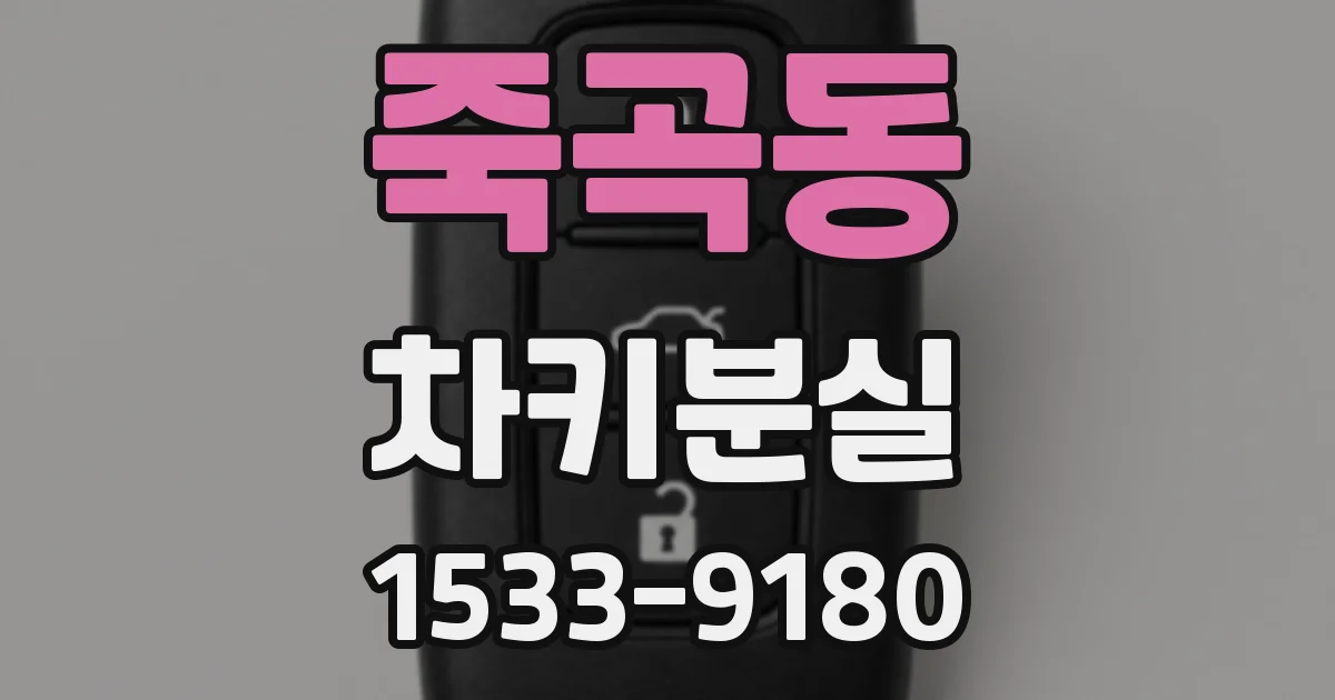 죽곡동 차키분실