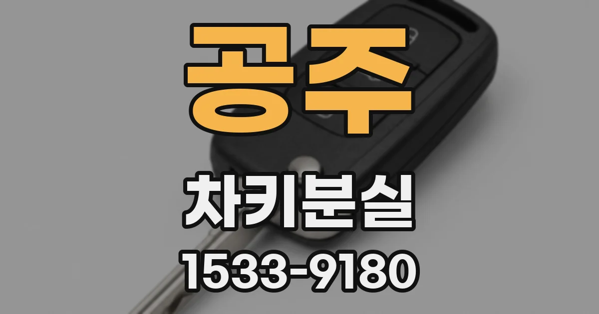공주 차키분실