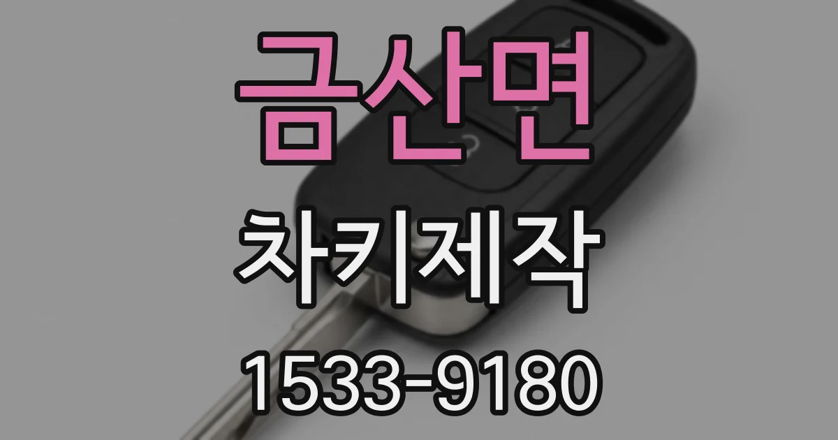 금산면 차키제작