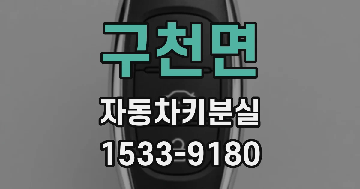 구천면 자동차키분실
