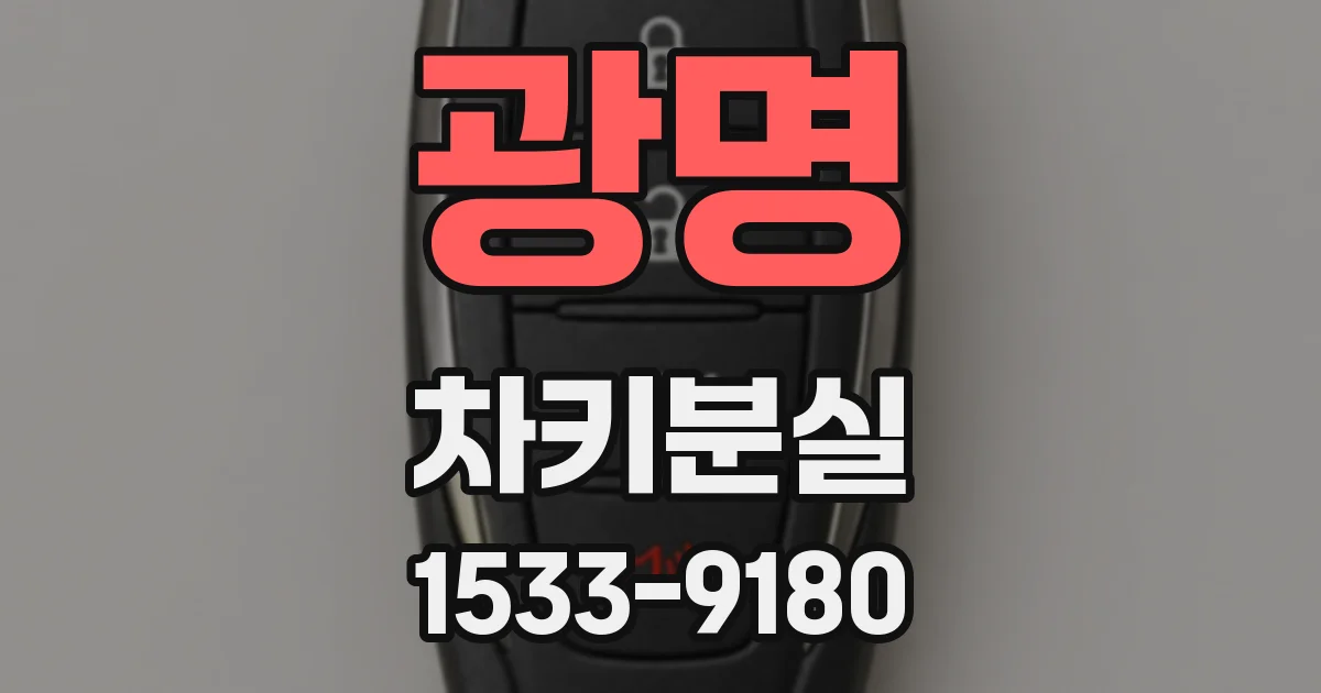 광명 차키분실
