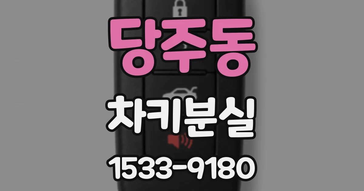 당주동 차키분실
