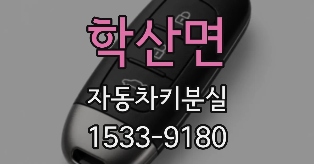 학산면 자동차키분실