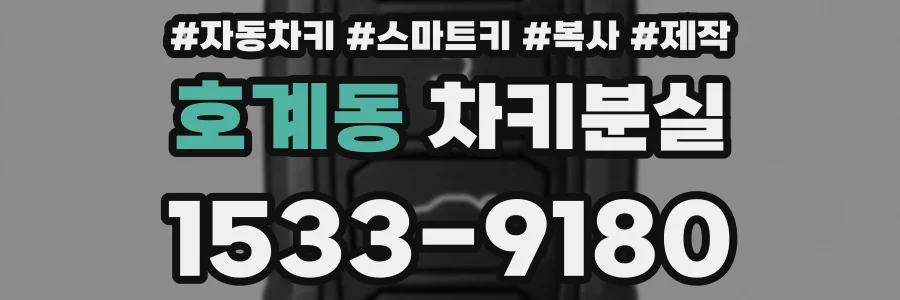 호계동 차키분실