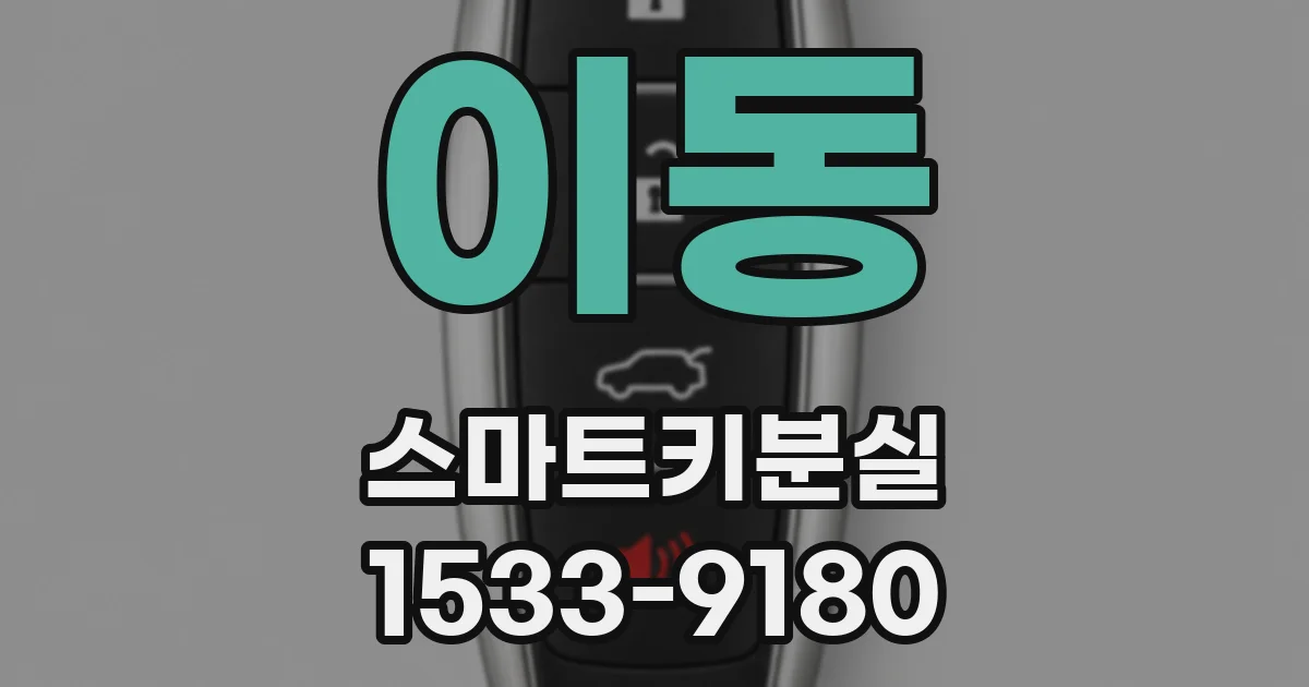 이동 스마트키분실