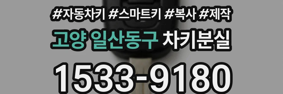 고양 일산동구 차키분실