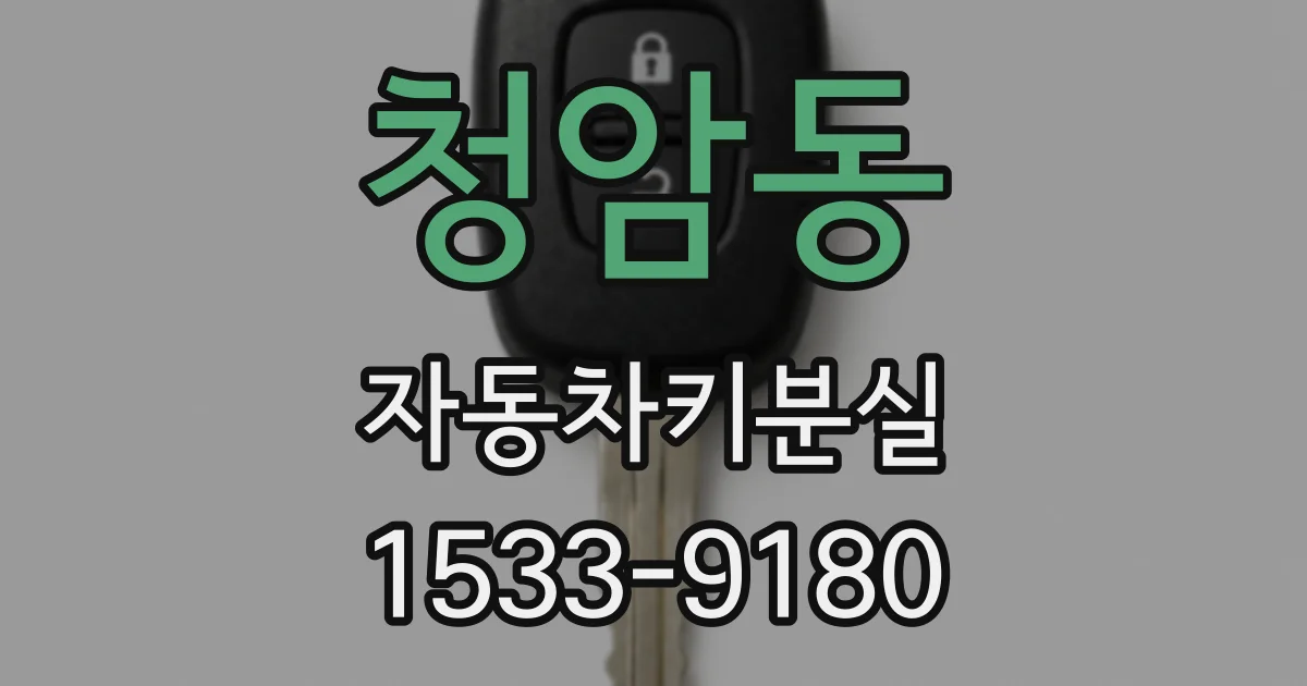 청암동 자동차키분실