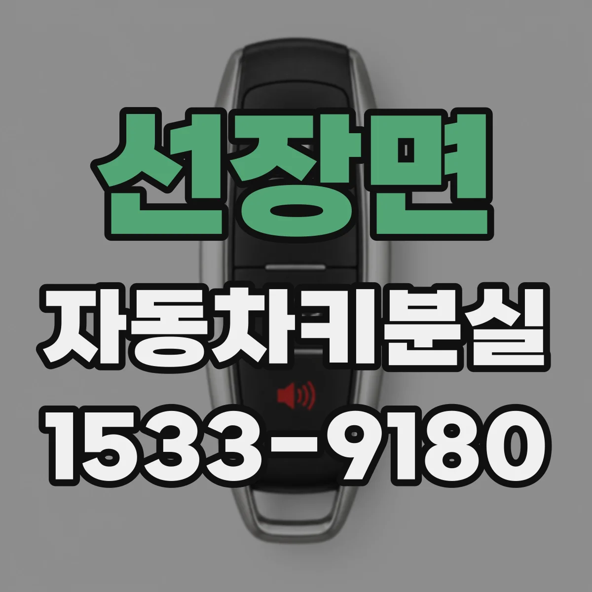 선장면 자동차키분실