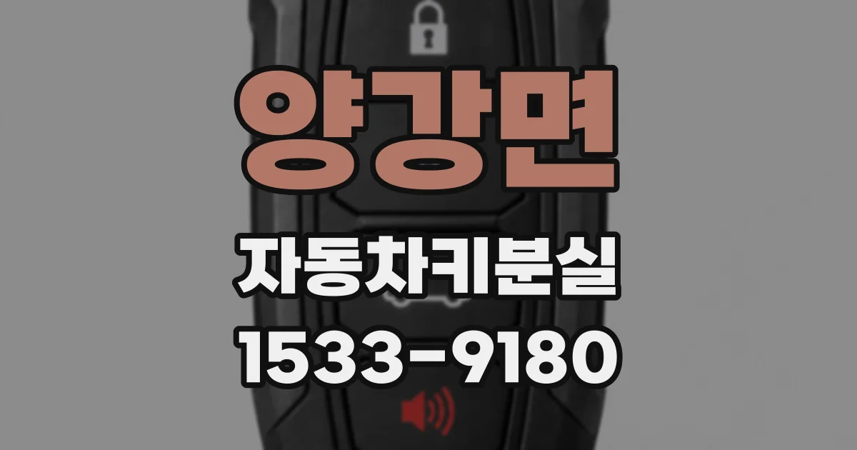 양강면 자동차키분실