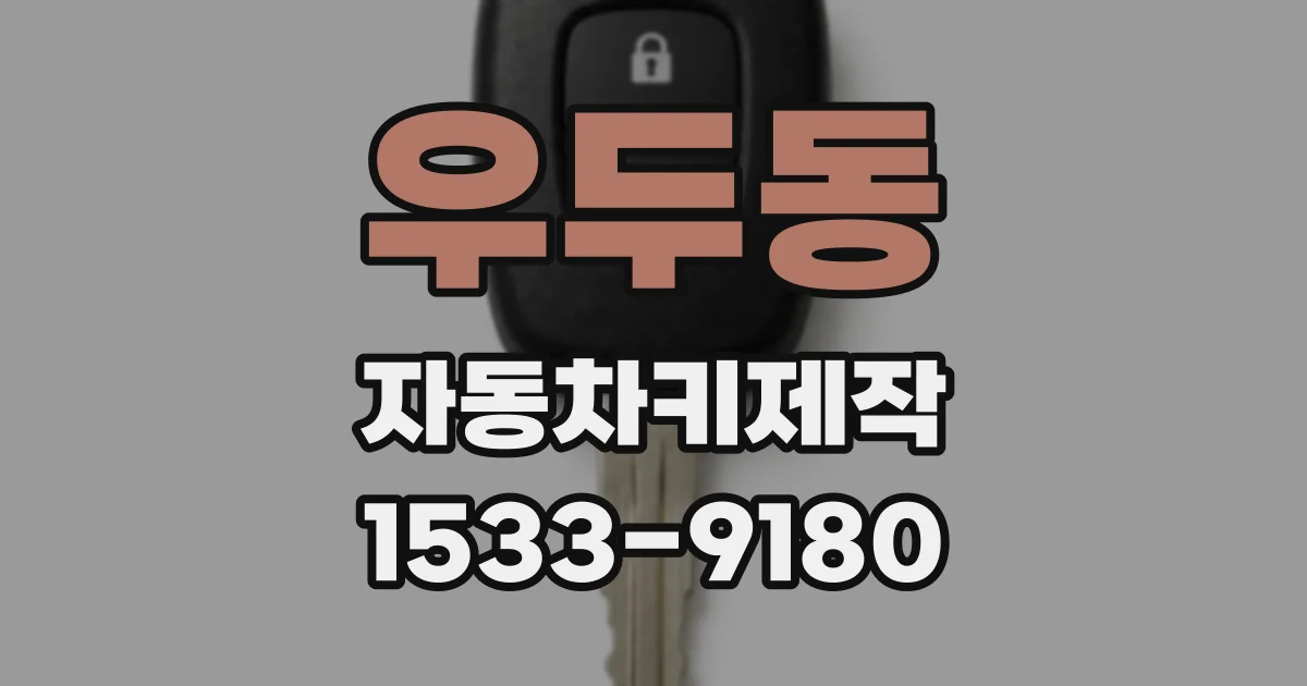 우두동 자동차키제작