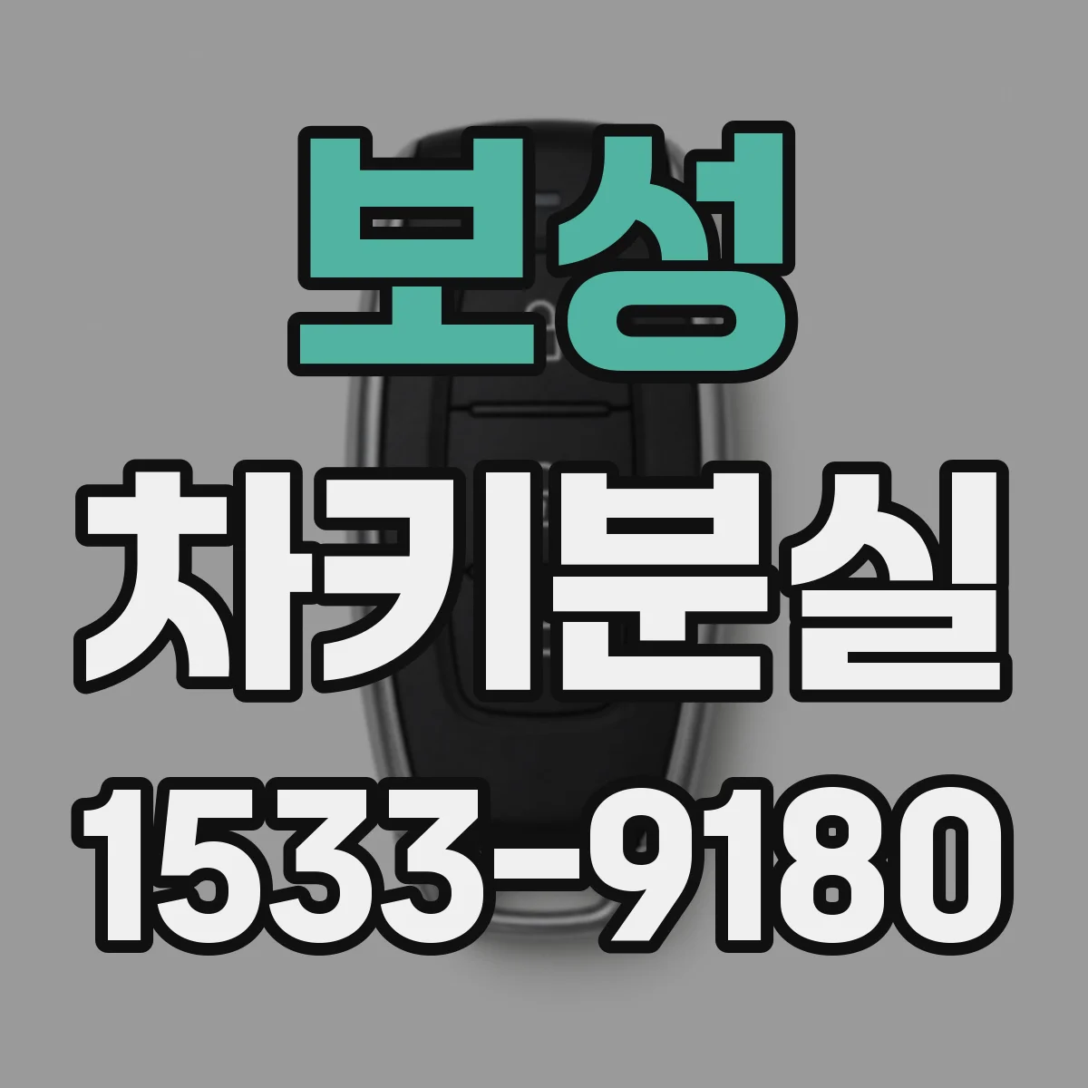보성 차키분실