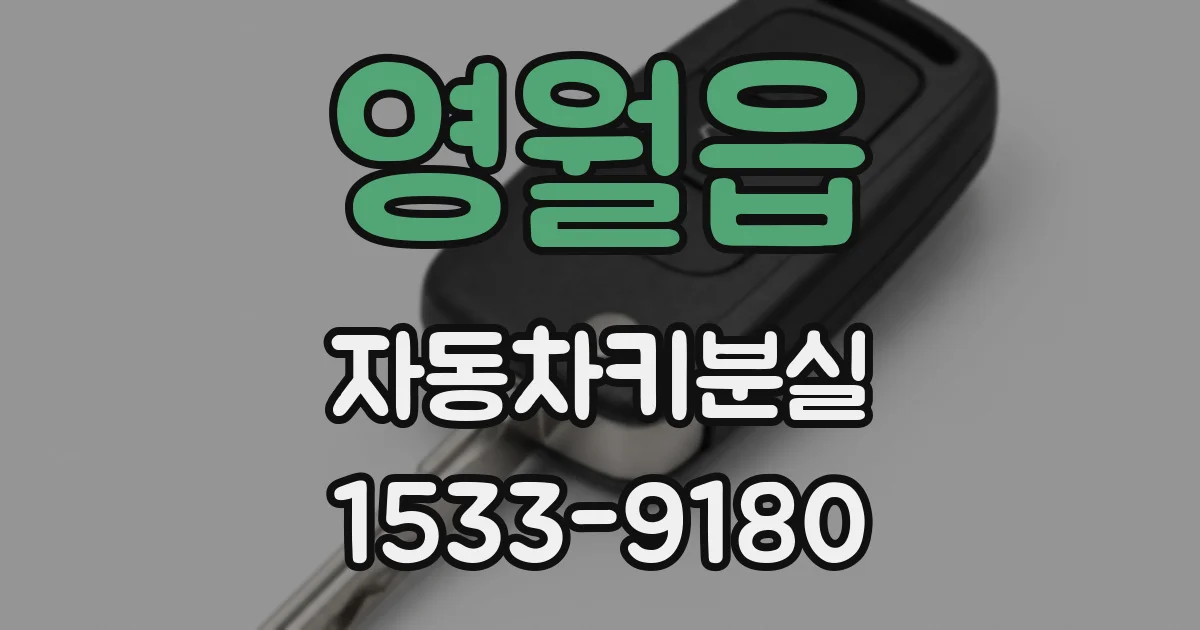 영월읍 자동차키분실