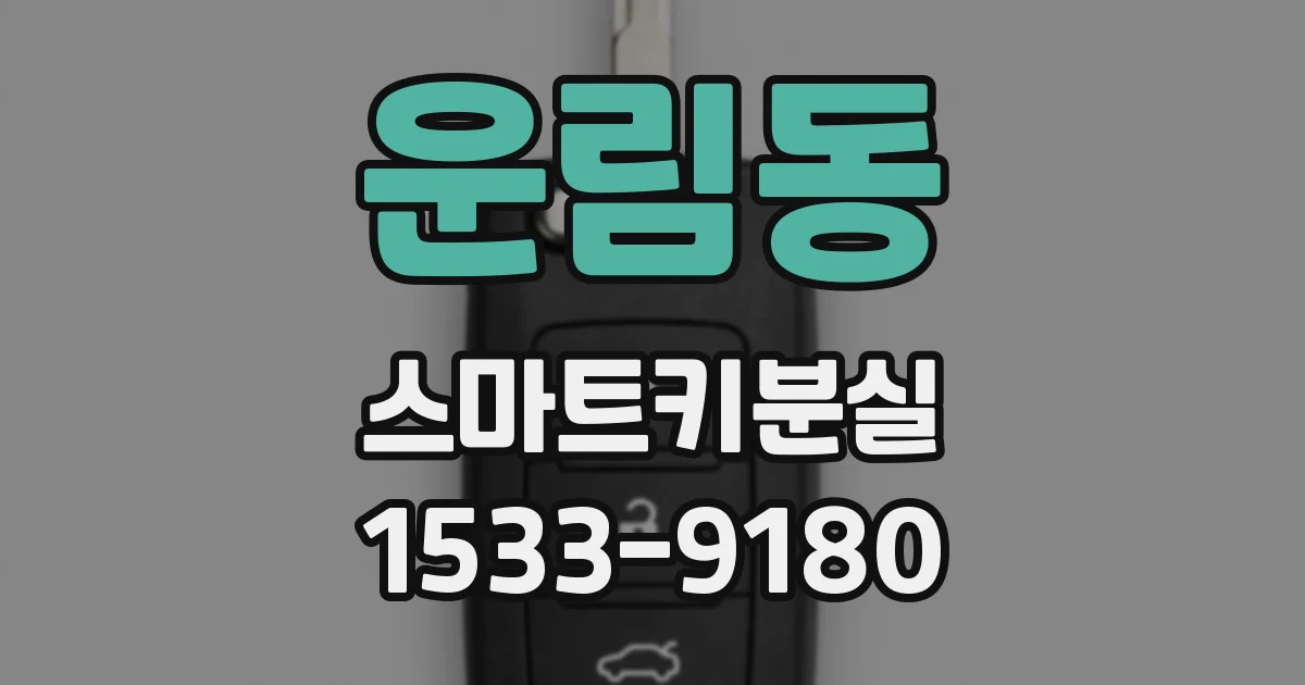 운림동 스마트키분실